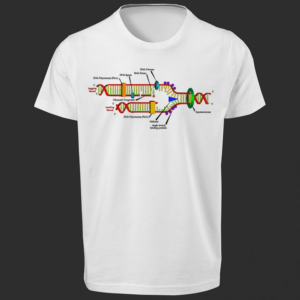 تی شرت  طرح DNA Replication