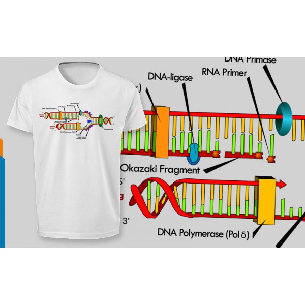 تی شرت  طرح DNA Replication