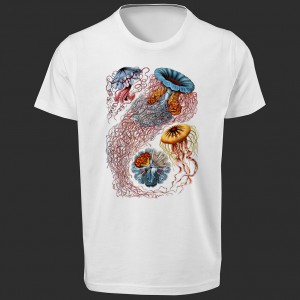 تی شرت  طرح Marine Biology -1