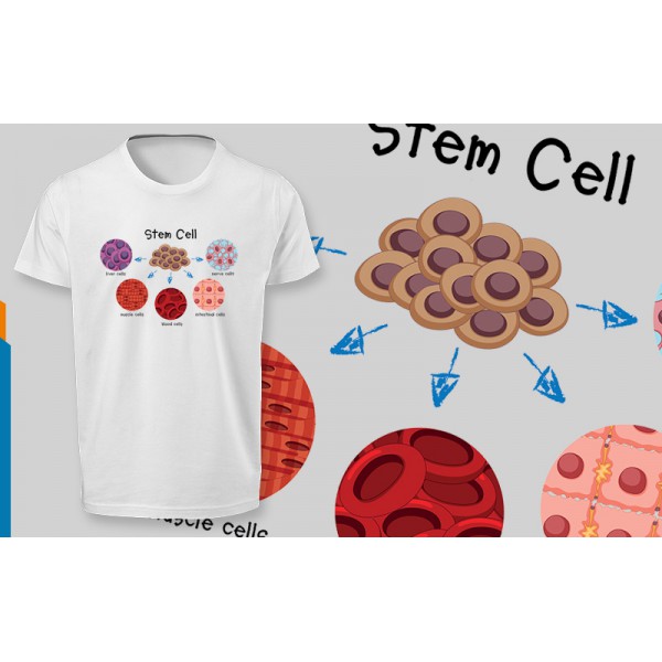 تی شرت  طرح Stem Cell