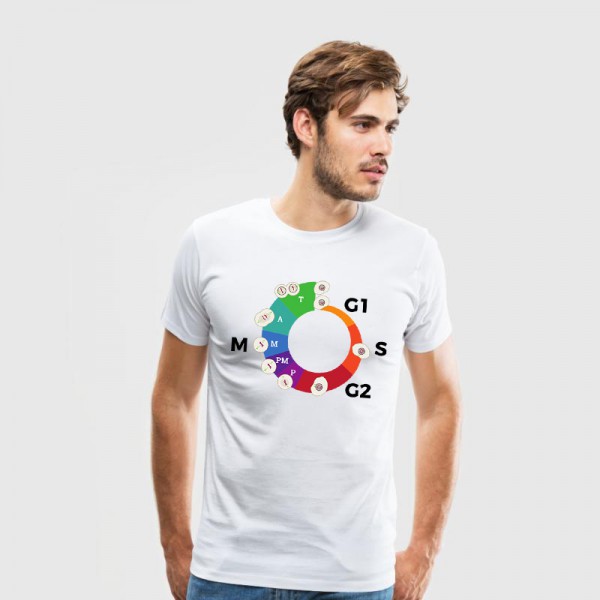 تی شرت طرح گرافیکی چرخه سلولی