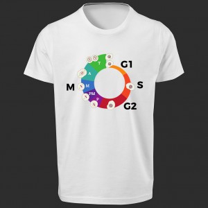 تی شرت طرح گرافیکی چرخه سلولی