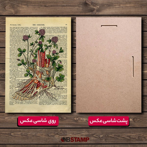 شاسی عکس آناتومی طرح پای انسان کد 15