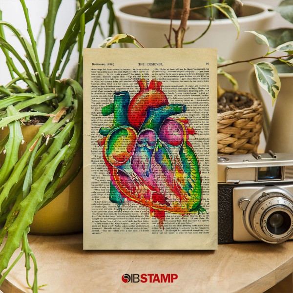 شاسی عکس آناتومی طرح قلب کد 18 