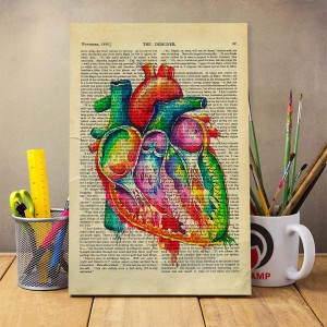 شاسی عکس آناتومی طرح قلب کد 18