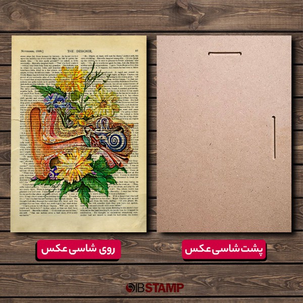 شاسی عکس آناتومی طرح گوش انسان کد 23