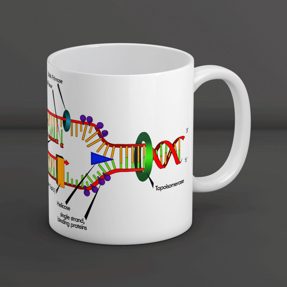 ماگ طرح همانندسازی DNA