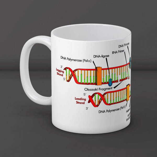 ماگ طرح همانندسازی DNA