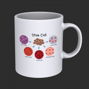 ماگ سلول های بنیادی