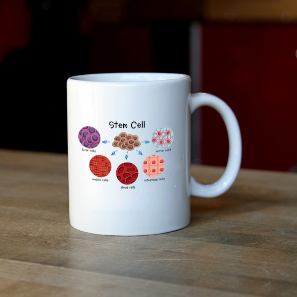 ماگ سلول های بنیادی