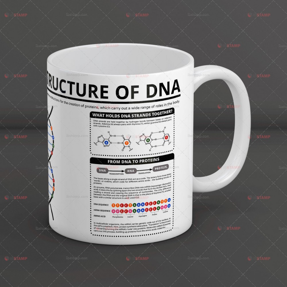 ماگ ساختار شیمیایی DNA